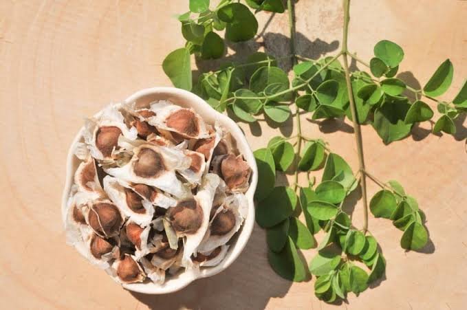 moringa seeds